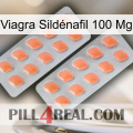 Viagra Sildénafil 100 Mg 27